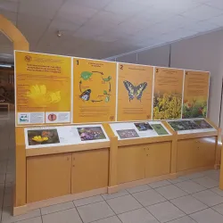 Cyprus Museum of Natural History - Tseri