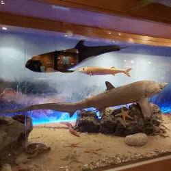 Cyprus Museum of Natural History - Tseri