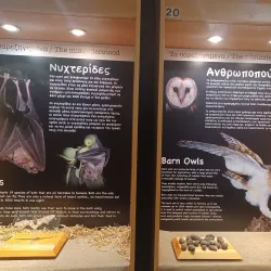 Cyprus Museum of Natural History - Tseri