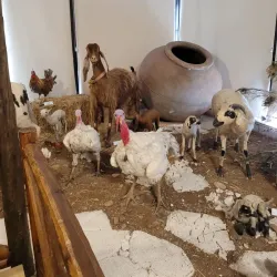 Cyprus Museum of Natural History - Tseri