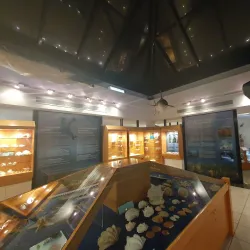 Cyprus Museum of Natural History - Tseri