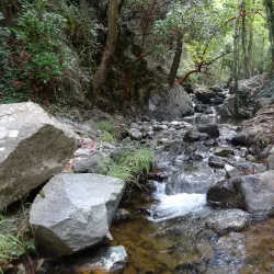 Pedoulas Nature Trail - Tseri