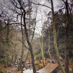 Pedoulas Nature Trail - Tseri