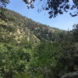 Pedoulas Nature Trail - Tseri