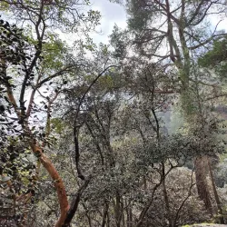 Pedoulas Nature Trail - Tseri