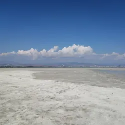 Limassol Salt Lake (nearby) - Ypsonas