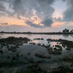 Limassol Salt Lake (nearby) - Ypsonas