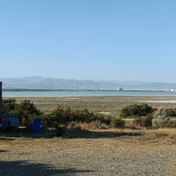 Limassol Salt Lake (nearby) - Ypsonas