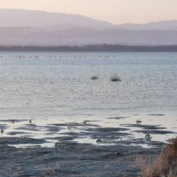 Limassol Salt Lake (nearby) - Ypsonas