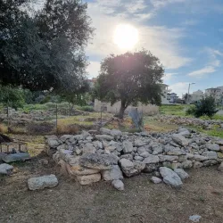 Municipal Park of Ypsonas - Ypsonas