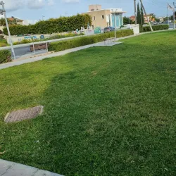 Municipal Park of Ypsonas - Ypsonas