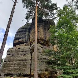 Falkenstein Castle Ruins - Aš
