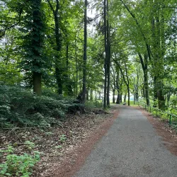 Svatý Kříž Lookout Tower - Aš
