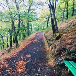 Svatý Kříž Lookout Tower - Aš