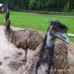 Benešov Park - Benesov