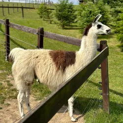 Benešov Park - Benesov