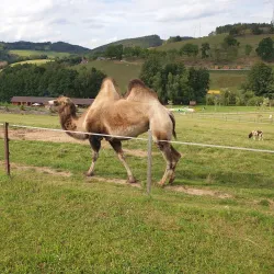 Benešov Park - Benesov