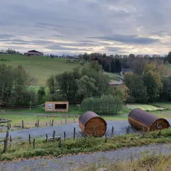 Benešov Park - Benesov