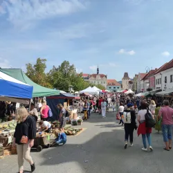 Beroun Museum (Muzeum Beroun) - Beroun