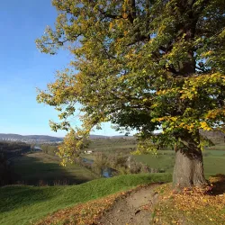 Berounka River - Beroun