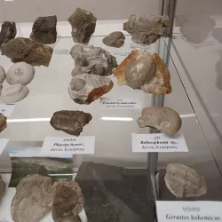 Bohemian Karst (Český kras) - Beroun