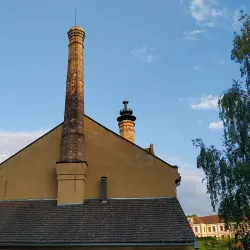 Local Brewery - Bilovec