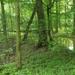 Poodří Protected Landscape Area - Bilovec