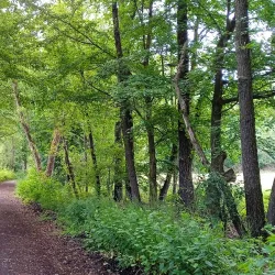 Poodří Protected Landscape Area - Bilovec