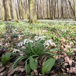 Poodří Protected Landscape Area - Bilovec