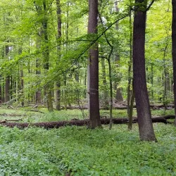 Poodří Protected Landscape Area - Bilovec