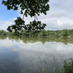 Poodří Protected Landscape Area - Bilovec