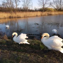 Poodří Protected Landscape Area - Bilovec