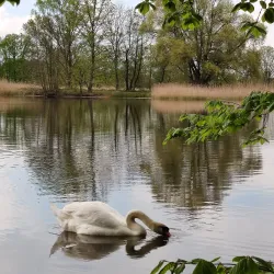 Poodří Protected Landscape Area - Bilovec