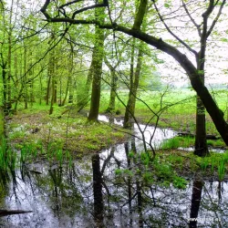 Poodří Protected Landscape Area - Bilovec