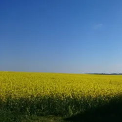 Stará Ves Nature Reserve - Bilovec