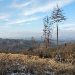 Blansko Town Park - Blansko