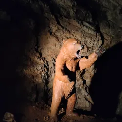 Nature Reserve Výpustek - Blansko