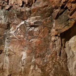 Nature Reserve Výpustek - Blansko