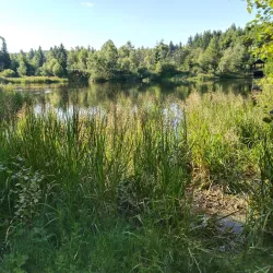 Blatno Village Center - Blatno (Chomutov District)