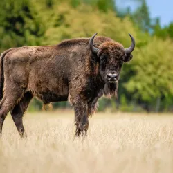 Chomutov Zoo - Blatno (Chomutov District)