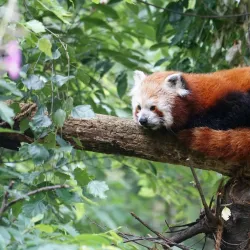 Chomutov Zoo - Blatno (Chomutov District)