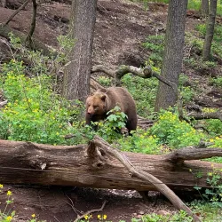 Chomutov Zoo - Blatno (Chomutov District)