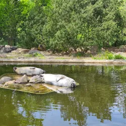 Chomutov Zoo - Blatno (Chomutov District)