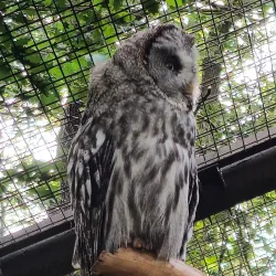 Chomutov Zoo - Blatno (Chomutov District)