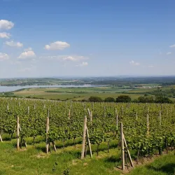 Lusatian Mountains Protected Landscape Area - Blatno (Chomutov District)