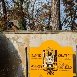 Brandýs nad Labem Castle - Brandýs nad Labem-Stará Boleslav