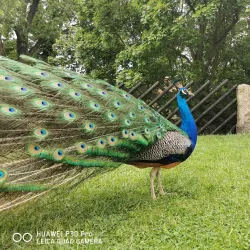 Brandýs nad Labem Castle - Brandýs nad Labem-Stará Boleslav