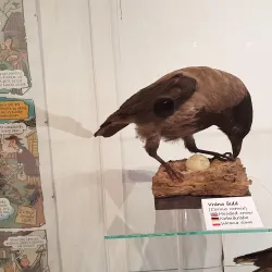 Museum of Brandýs nad Labem-Stará Boleslav - Brandýs nad Labem-Stará Boleslav