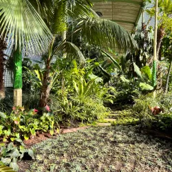 Lednice Greenhouse (Palm House) - Breclav