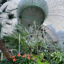 Lednice Greenhouse (Palm House) - Breclav